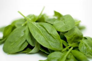spinach-933499-m