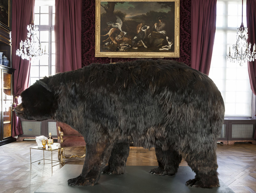 abraham-poincheval-lives-inside-a-bear-carcass-for-two-weeks-designboom-01