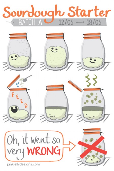 pink_jelly_designs_sourdough_starter_journey_batch_a_450-450x675